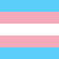 trans flag trans flag
